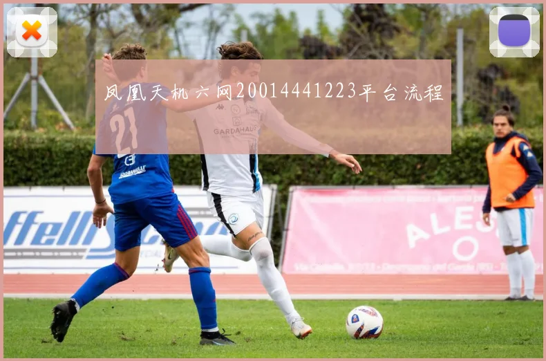 凤凰天机六网20014441223平台流程