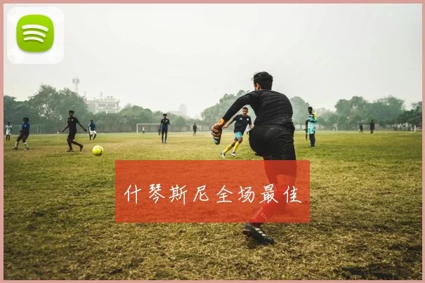 什琴斯尼全场最佳