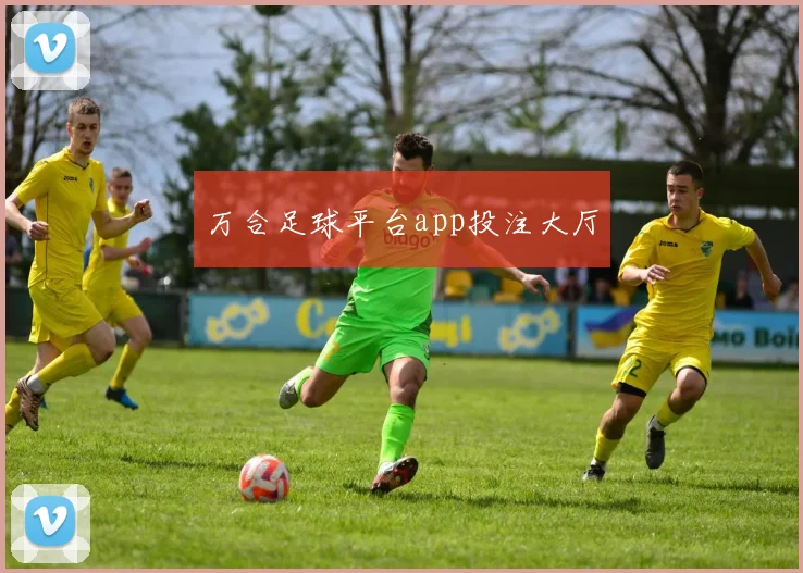 万合足球平台app投注大厅