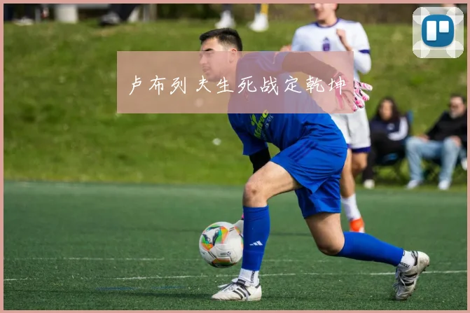 卢布列夫生死战定乾坤