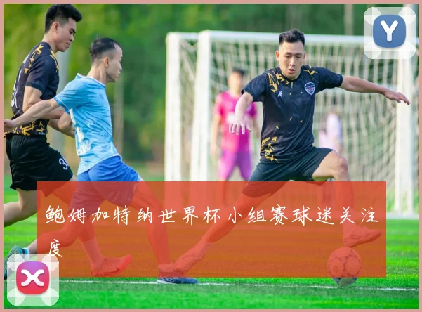 鲍姆加特纳世界杯小组赛球迷关注度