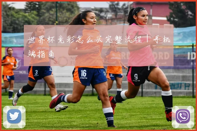 世界杯竞彩怎么买完整流程｜手机端指南