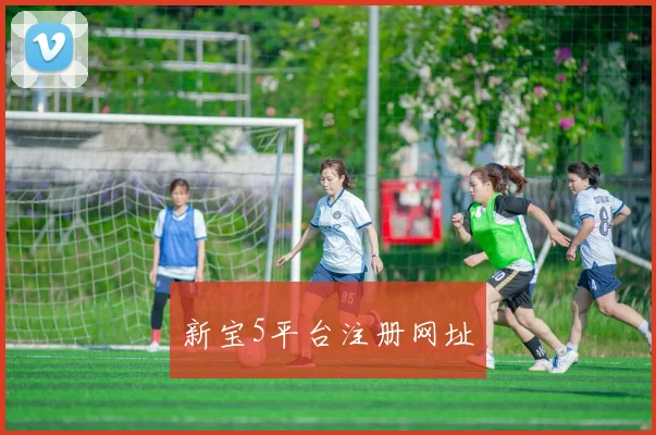 新宝5平台注册网址