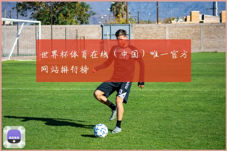 世界杯体育在线（中国）唯一官方网站排行榜
