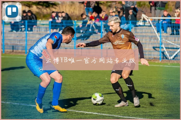 云博YB唯一官方网站专业版