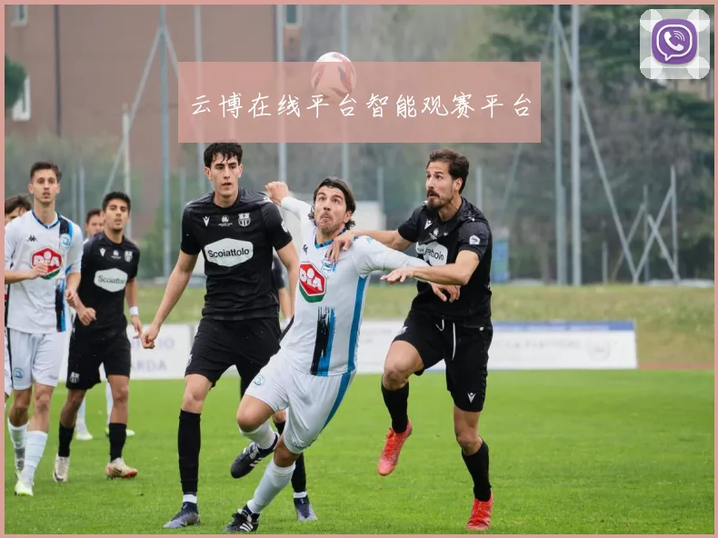 云博在线平台智能观赛平台