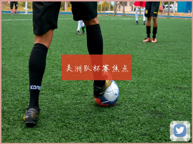 美洲队杯赛焦点