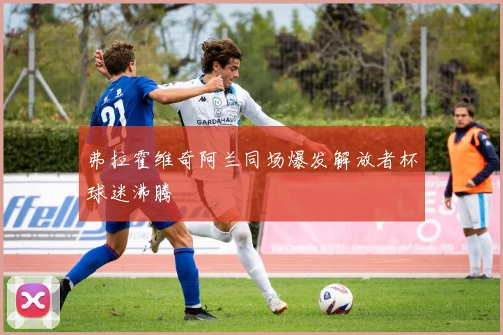 弗拉霍维奇阿兰同场爆发解放者杯球迷沸腾