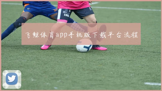 飞鲸体育app手机版下载平台流程