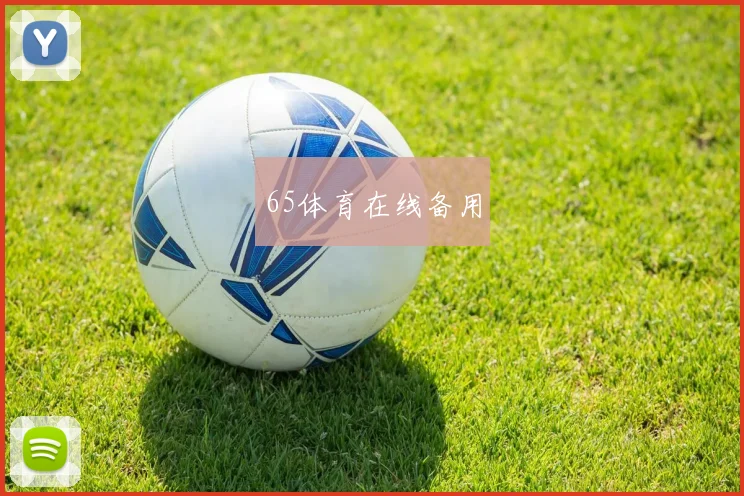 65体育在线备用