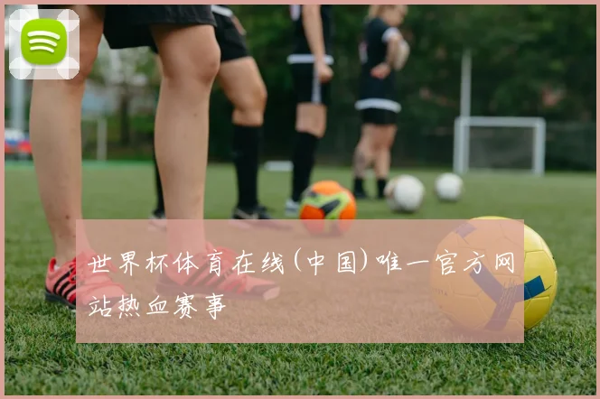 世界杯体育在线(中国)唯一官方网站热血赛事