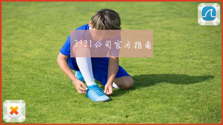 3521公司官方指南