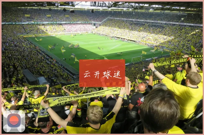 云开球迷