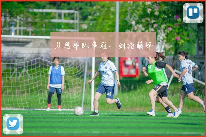 贝恩率队争冠,剑指巅峰