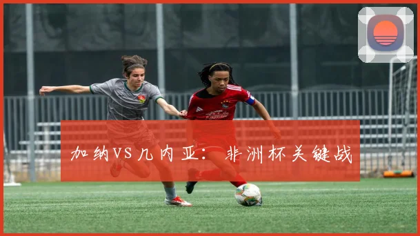 加纳vs几内亚：非洲杯关键战