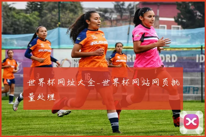 世界杯网址大全_世界杯网站网页批量处理