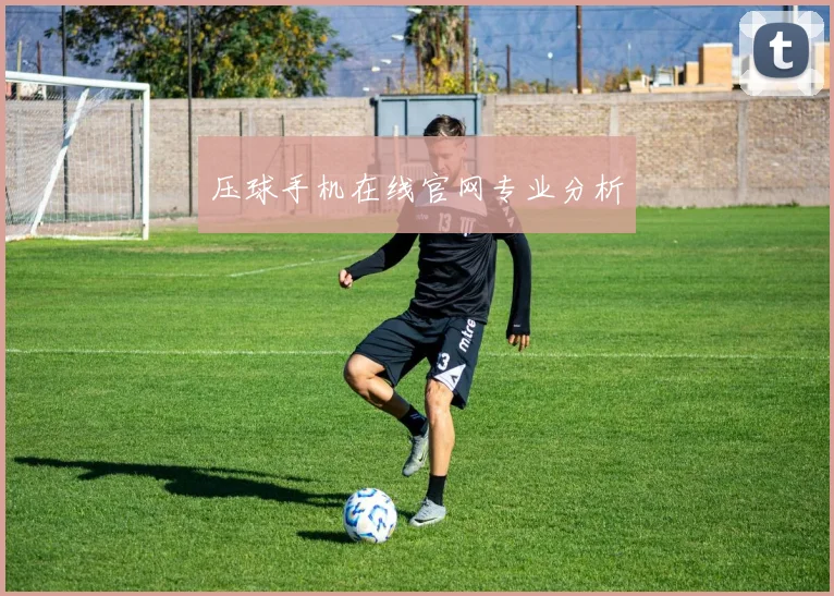压球手机在线官网专业分析