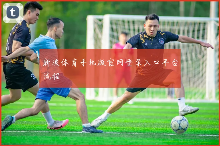 新浪体育手机版官网登录入口平台流程