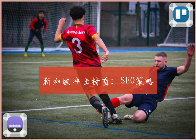 新加坡冲击榜首：SEO策略