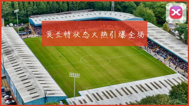 莫兰特状态火热引爆全场