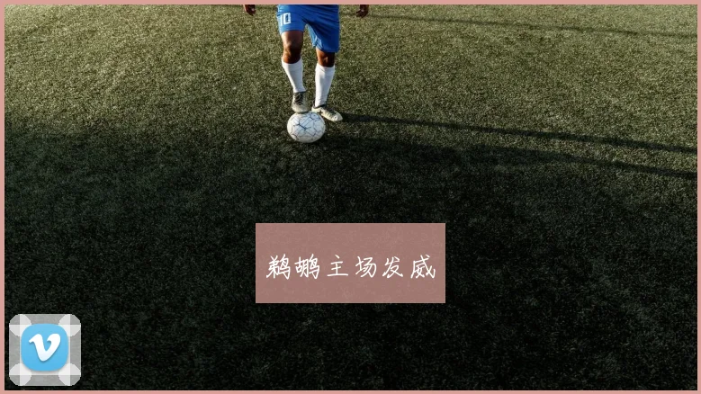 鹈鹕主场发威