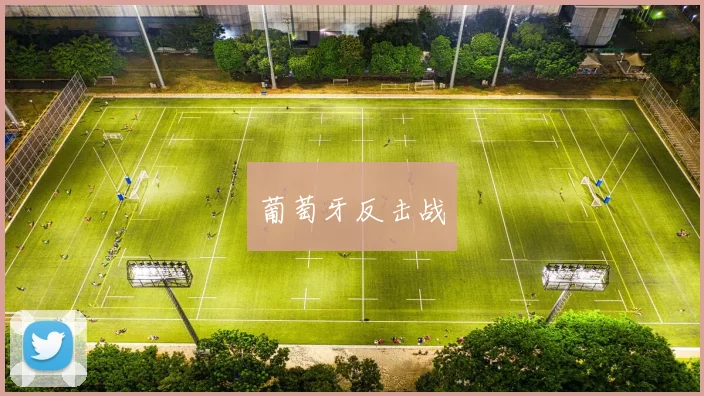 葡萄牙反击战