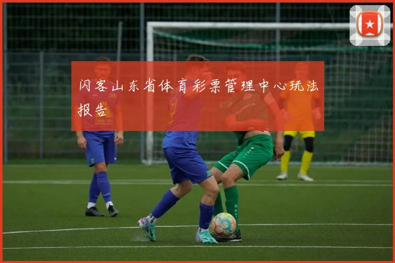 闪客山东省体育彩票管理中心玩法报告