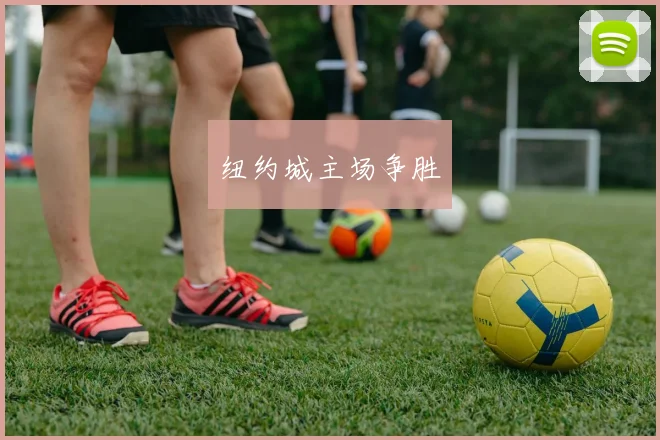 纽约城主场争胜
