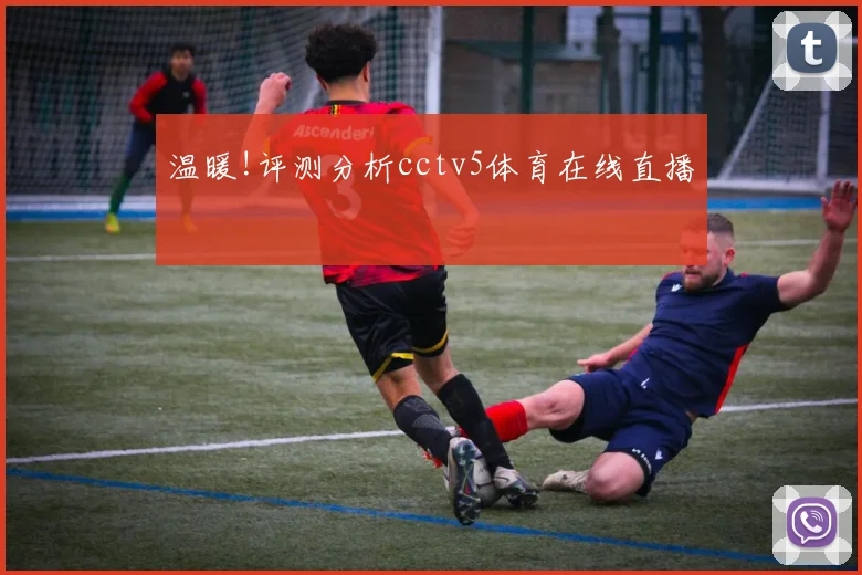 温暖!评测分析cctv5体育在线直播