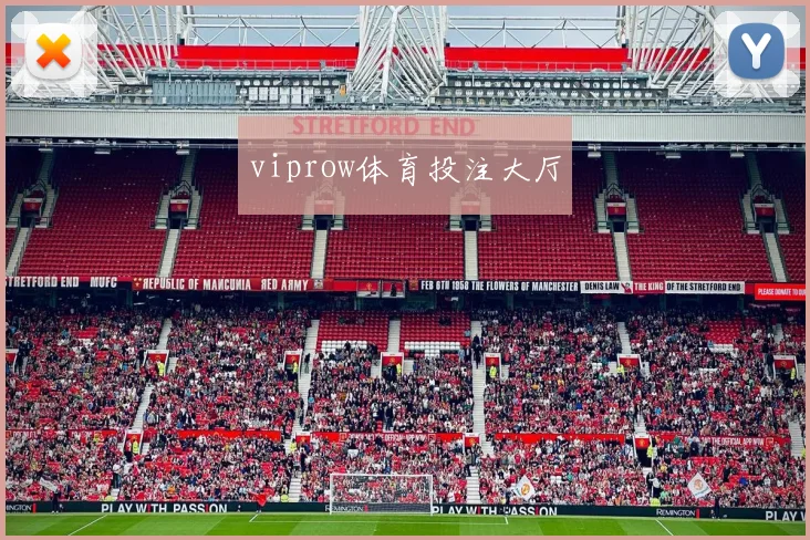 viprow体育投注大厅