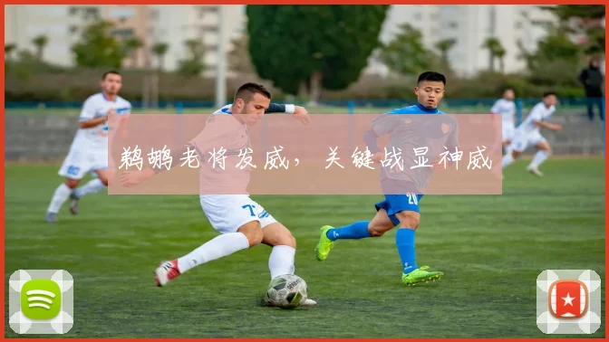 鹈鹕老将发威，关键战显神威