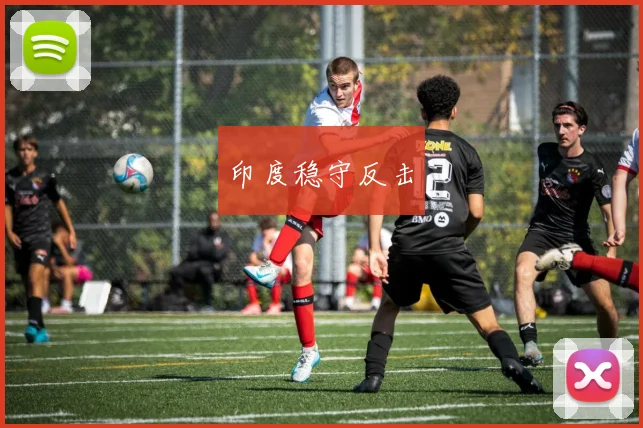 印度稳守反击