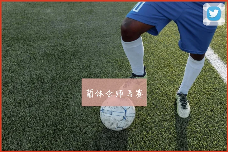 葡体会师马赛