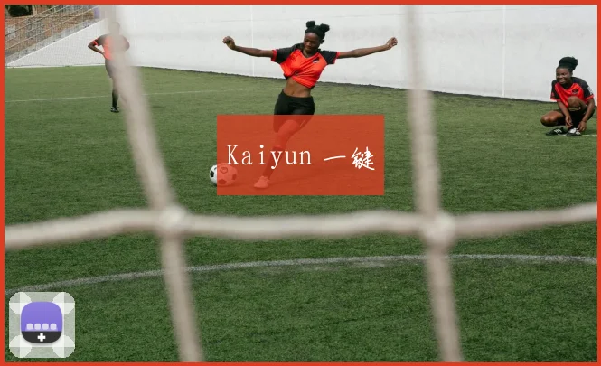 Kaiyun 一键