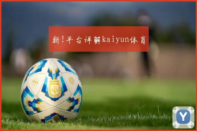 新!平台详解kaiyun体育