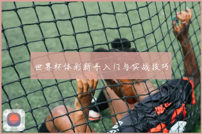 世界杯体彩新手入门与实战技巧