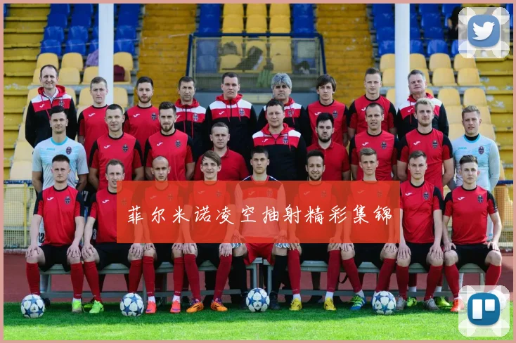 菲尔米诺凌空抽射精彩集锦