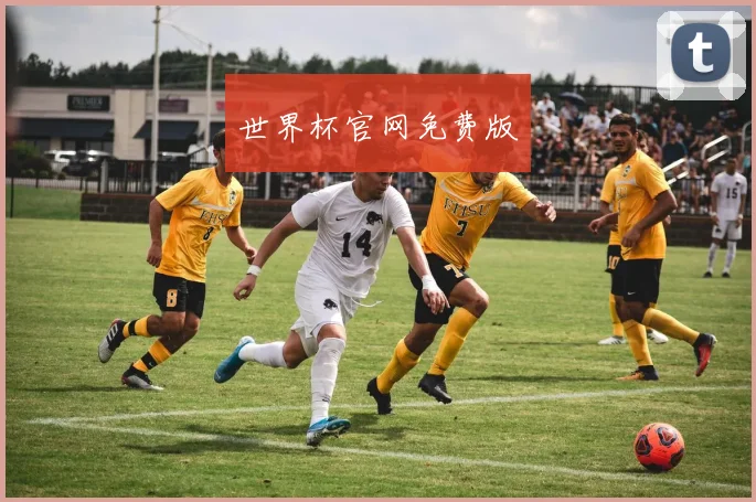 世界杯官网免费版