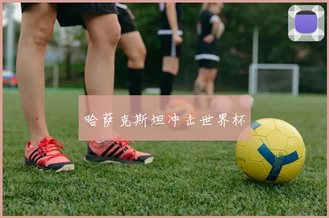 哈萨克斯坦冲击世界杯