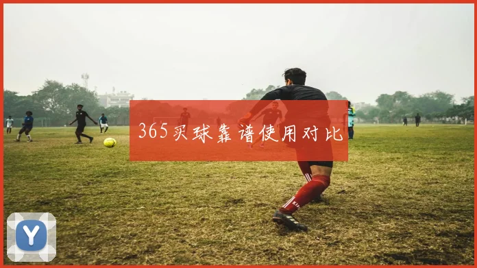 365买球靠谱使用对比