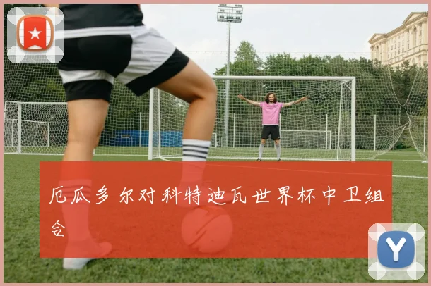 厄瓜多尔对科特迪瓦世界杯中卫组合