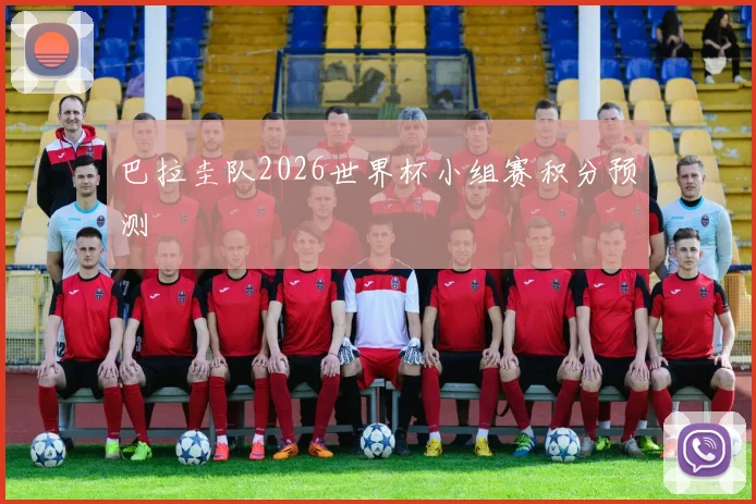 巴拉圭队2026世界杯小组赛积分预测