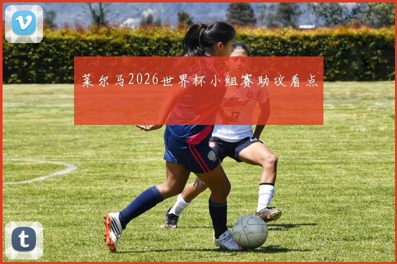 莱尔马2026世界杯小组赛助攻看点