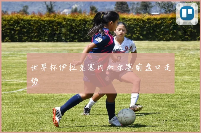 世界杯伊拉克塞内加尔赛前盘口走势