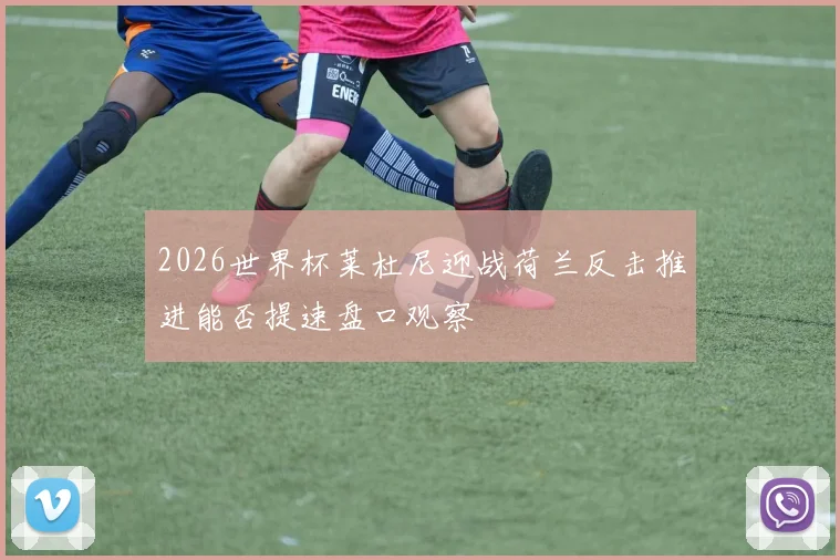 2026世界杯莱杜尼迎战荷兰反击推进能否提速盘口观察