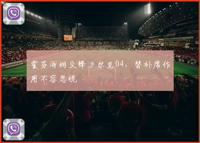霍芬海姆交锋沙尔克04,替补席作用不容忽视